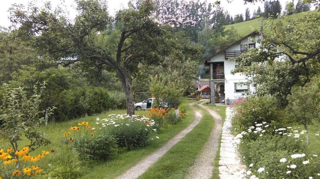 Pensiunea Iulia Bran  Exterior foto